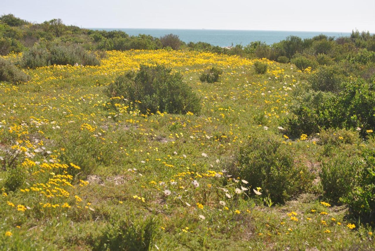 Stay At Bokkoms In Paternoster Self Catering Accommodation Eksteriør billede