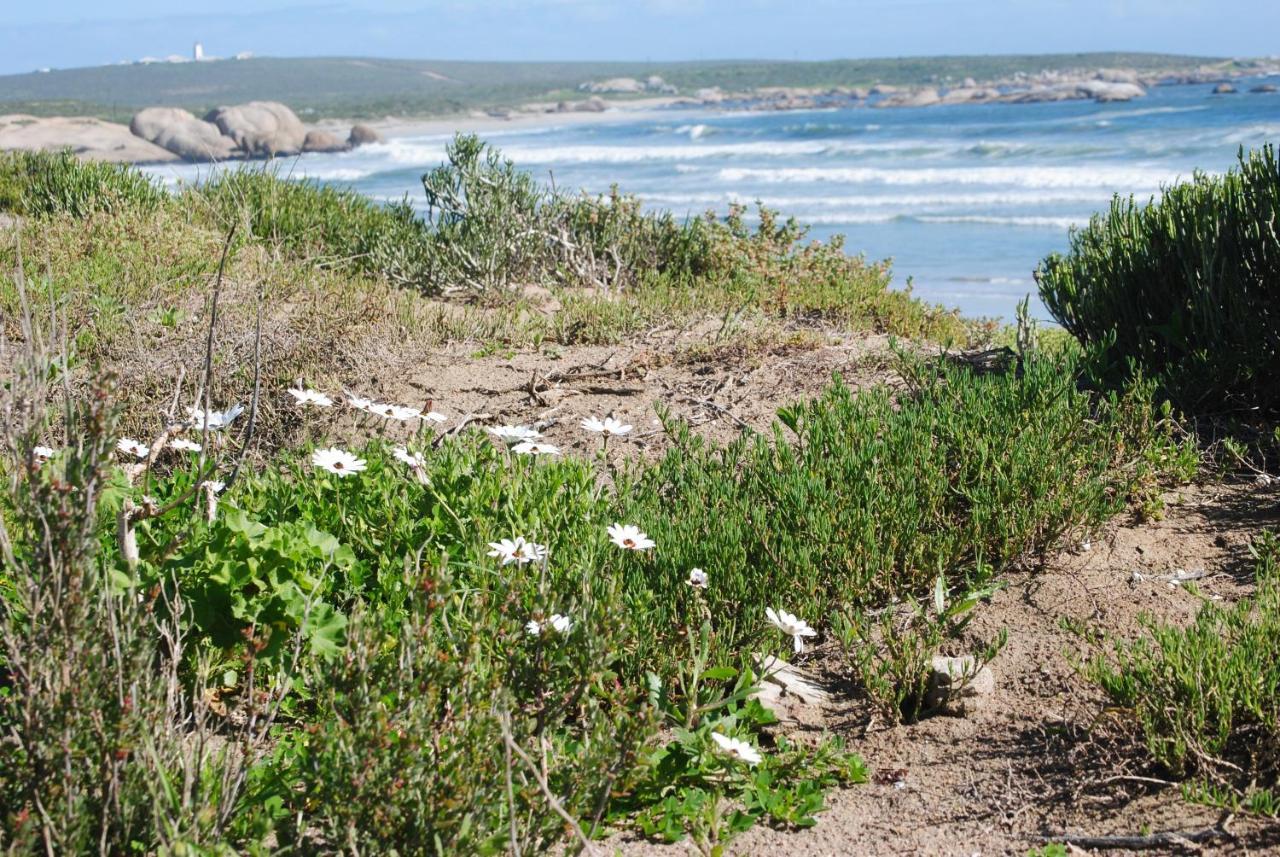 Stay At Bokkoms In Paternoster Self Catering Accommodation Eksteriør billede